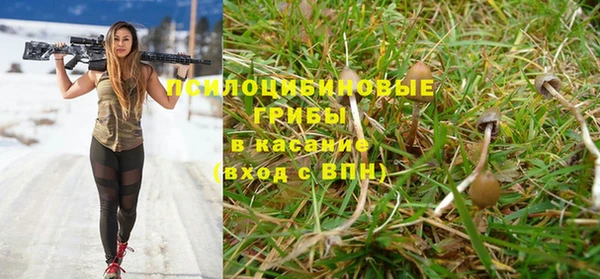альфа пвп Горнозаводск