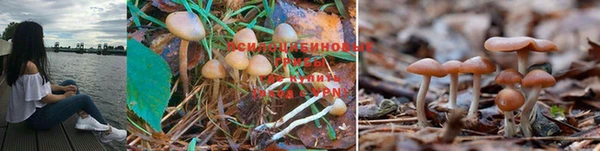 mdma Строитель