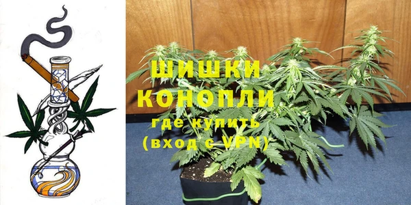 ешки Горняк