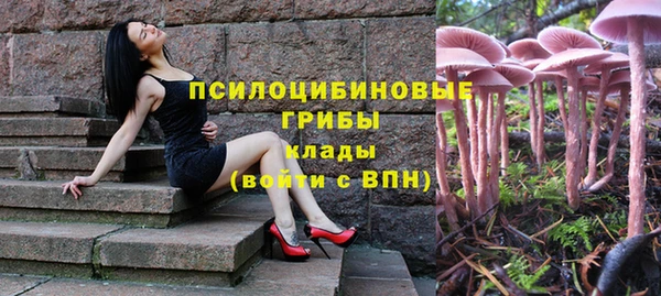 ешки Горняк