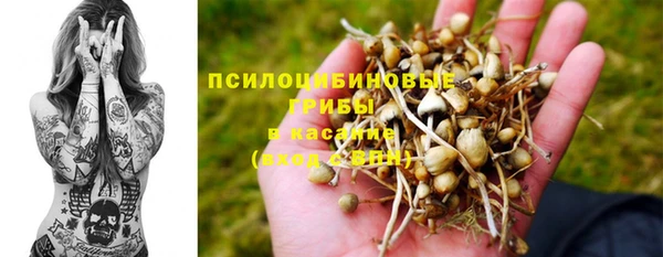 прущие крисы Горно-Алтайск