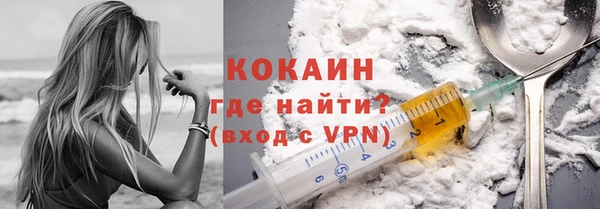 ешки Горняк