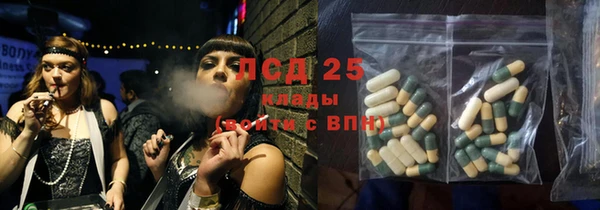 ГАЛЛЮЦИНОГЕННЫЕ ГРИБЫ Ельня